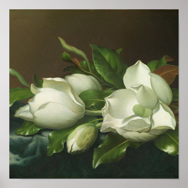 Martin Johnson Heade - Magnolias Poster (Vorne)