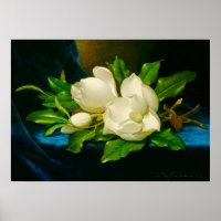 Martin Johnson Heade – Magnolien auf goldenem Samt