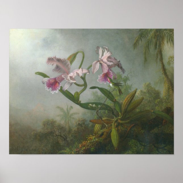 Martin Johnson Heade_Orchid-hummingbird Poster (Vorne)