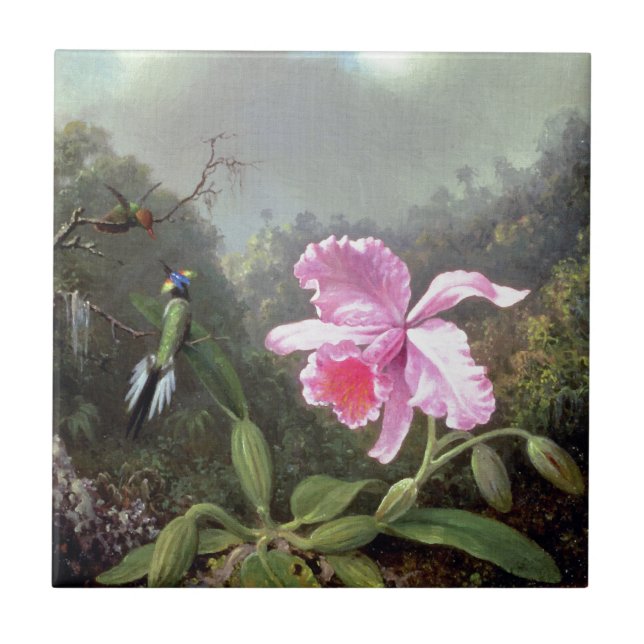 Martin Johnson Heade Orchid und Hummingbirds Fliese (Vorderseite)