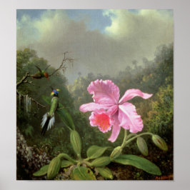 Martin Johnson Heade Orchid und Hummingbirds Poster