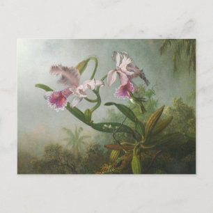 Martin Johnson Heade - Orchids and Hummingbirds Postkarte