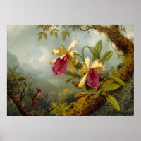 Martin Johnson Heade - Orchids und Kolibri