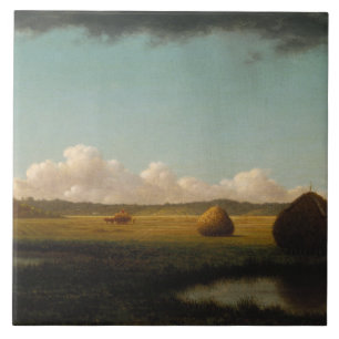 Martin Johnson Heade - Sommerduschen Fliese