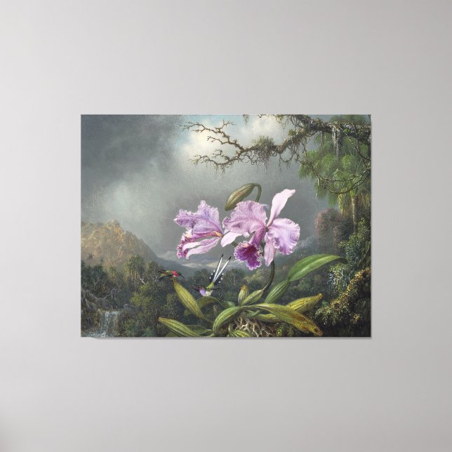 MARTIN JOHNSON HEADE - Study of a Orchid - 1872 - Leinwanddruck (Vorderseite)