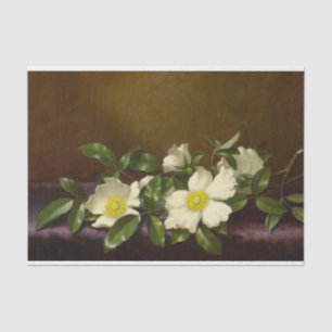 Martin Johnson Heade Vintag antike Blume Seidenpapier