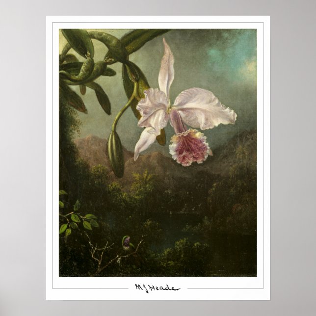 Martin Johnson Heade Zedign Art Poster #2 (Vorne)