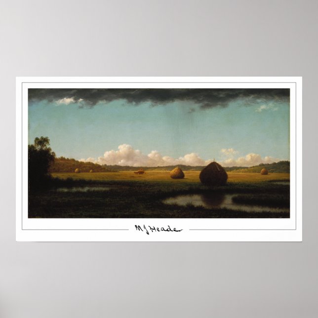 Martin Johnson Heade Zedign Art Poster #35 (Vorne)