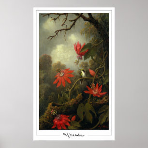 Martin Johnson Heade Zedign Art Poster #36