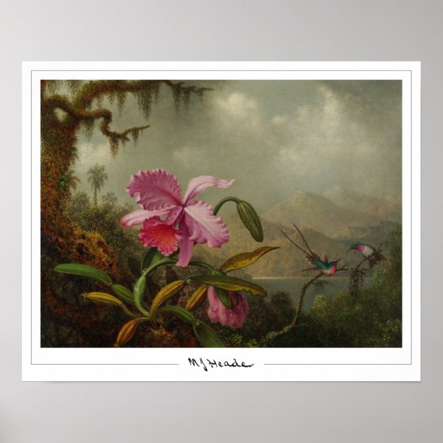 Martin Johnson Heade Zedign Art Poster #51 (Vorne)