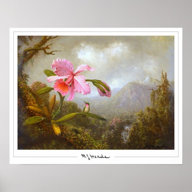 Martin Johnson Heade Zedign Art Poster #8 (Vorne)