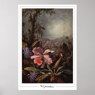 Martin Johnson Heade Zedign Kunstposter #202 Poster