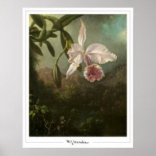 Martin Johnson Heade Zedign Kunstposter #2 Poster