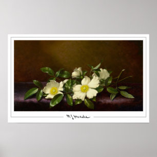 Martin Johnson Heade Zedign Kunstposter #52 Poster