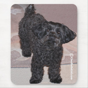 Martini das Yorkie-Poo Mousepad