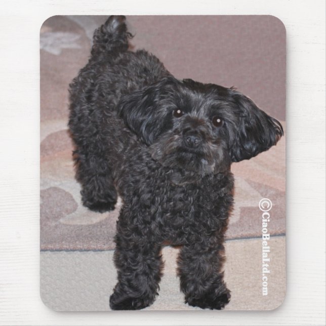 Martini das Yorkie-Poo Mousepad (Vorne)