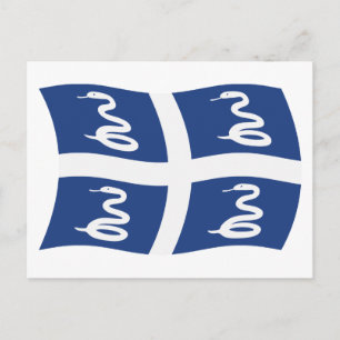 Martinique-Flagge Postkarte