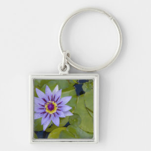 Martinique, französische Antillen, West Indies, B Schlüsselanhänger