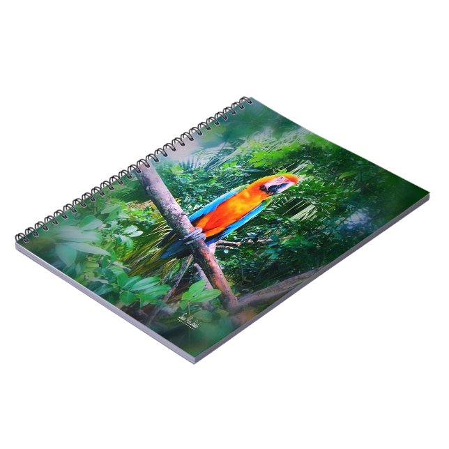 Martinique Macaw Notizblock (Linke Seite)