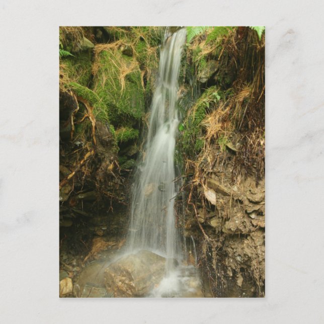 Martin's Brook Road Postkarte (Vorderseite)