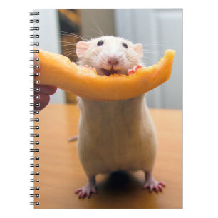 Marty Mouse Journal Notizblock