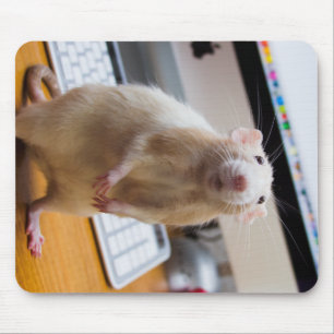 Marty Mouse Mousepad - ComputerMaus
