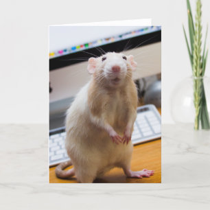 Marty Mouse Stehend Up Grußkarte Karte