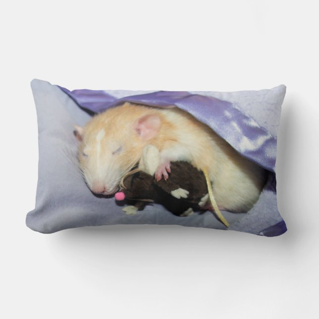 Marty Sleeping with RatTeddy 16x16 Pillow Lendenkissen (Vorderseite)