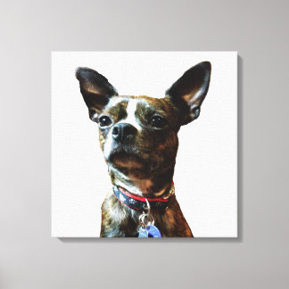 Marv-man Leinwanddruck