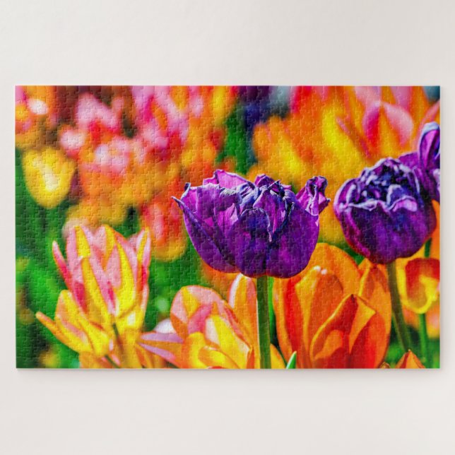 Marvelous Tulip Flowers Wir haben werbe Puzzle (Horizontal)