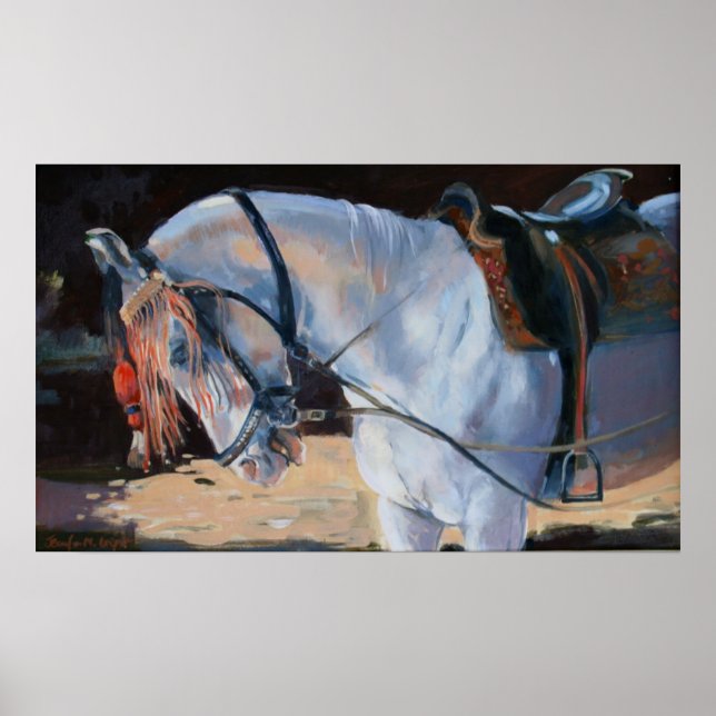 Marwari Horse Rajasthan 2010 Poster (Vorne)