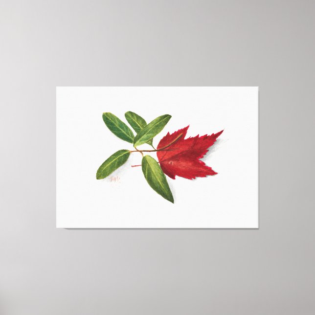 Mary Vaux Walcott painting Leinwanddruck (Vorderseite)