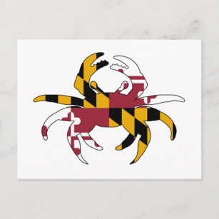 Maryland Flag Crab Postkarte