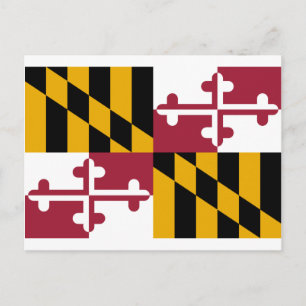 Maryland Flag Postkarte