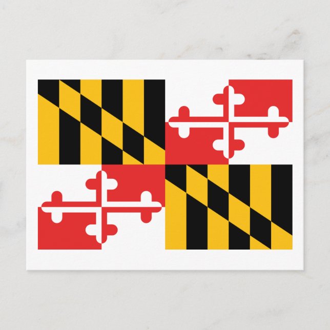 Maryland-Flagge Postkarte (Vorderseite)