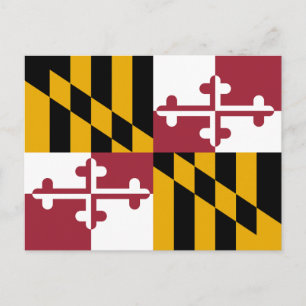 Maryland-Flagge Postkarte