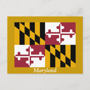 Maryland-Flagge Postkarte