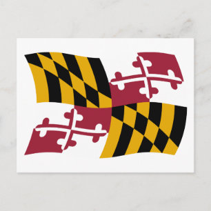 Maryland-Flagge-Postkarte Postkarte