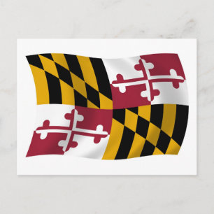 Maryland-Flaggen-Postkarte Postkarte