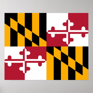 Maryland State Flag Design Decoration Poster