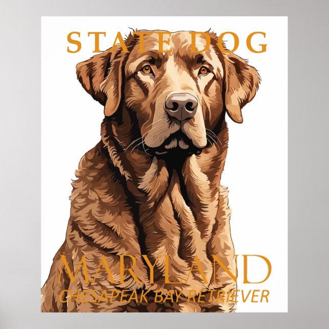 Maryland Territory Dog Retriever 2 Poster (Vorne)