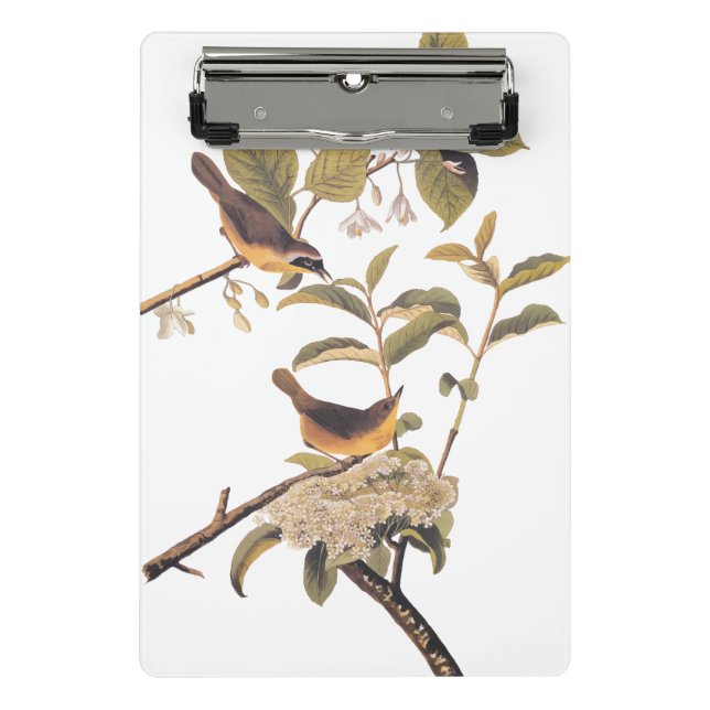 Maryland Yellowthroat Audubon Birds in Olive Tree Mini Klemmbrett (Vorderseite)