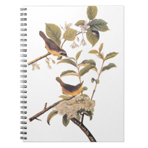 Maryland Yellowthroat Audubon Birds in Olive Tree Notizblock