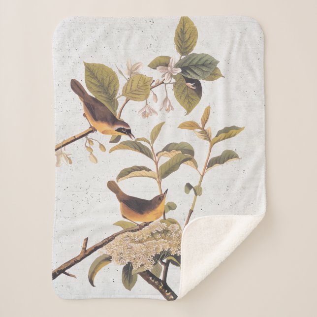 Maryland Yellowthroat Audubon Birds mit Blume Sherpadecke (Vorderseite)
