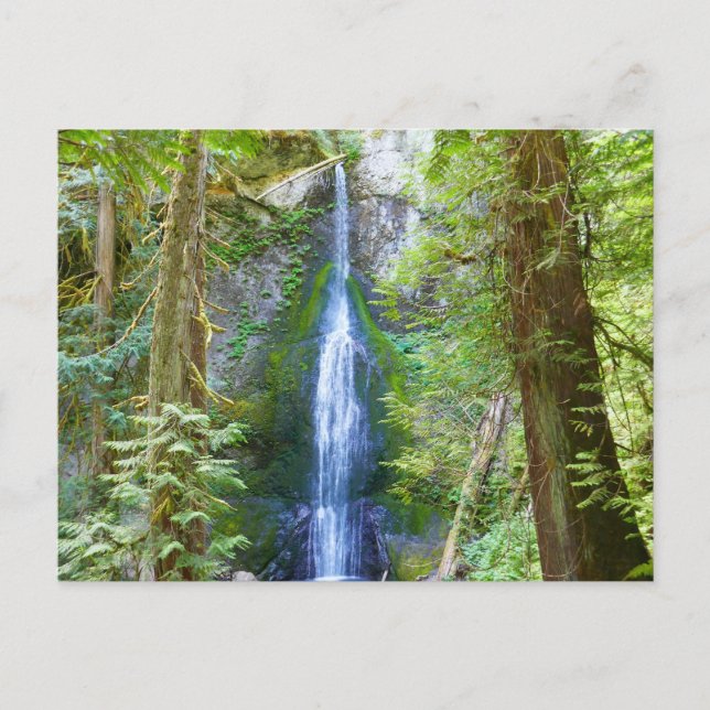 Marymere Falls I Postkarte (Vorderseite)