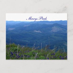 Marys Peak Postkarte