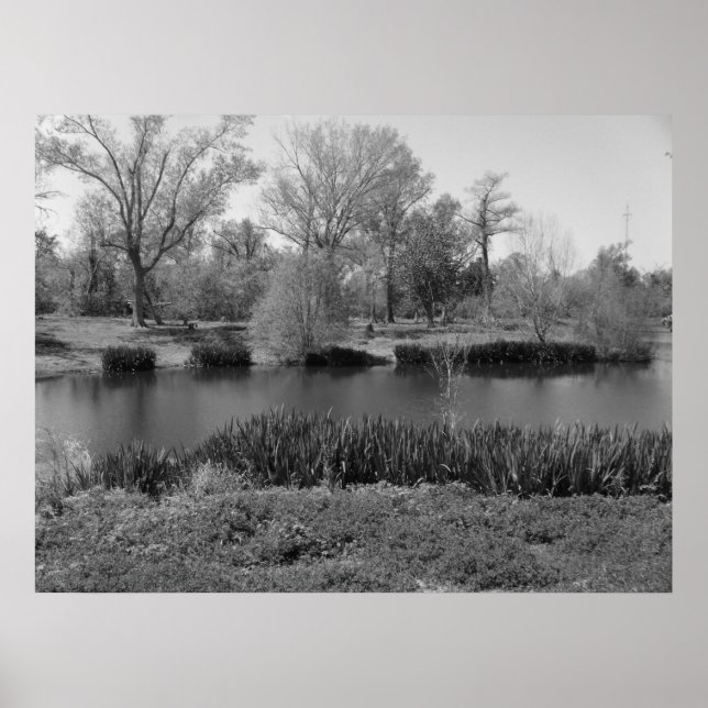 März 22 (13) Leinwand Poster (Vorne)