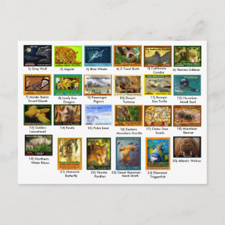 März 31, 2018, Indexseite, Packung mit 24 Postkarte