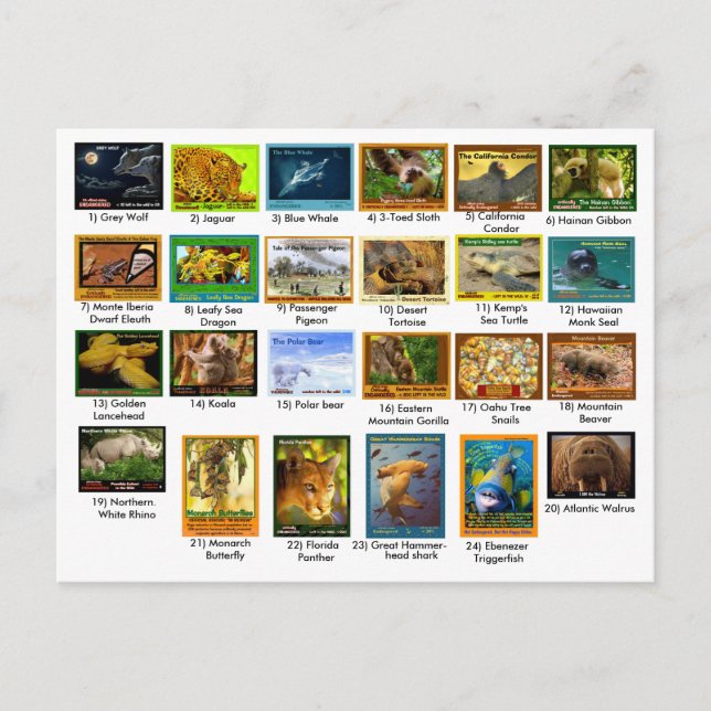 März 31, 2018, Indexseite, Packung mit 24 Postkarte (Vorderseite)