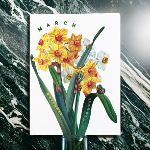 März Blumen Jonquil Narzisse Postkarte